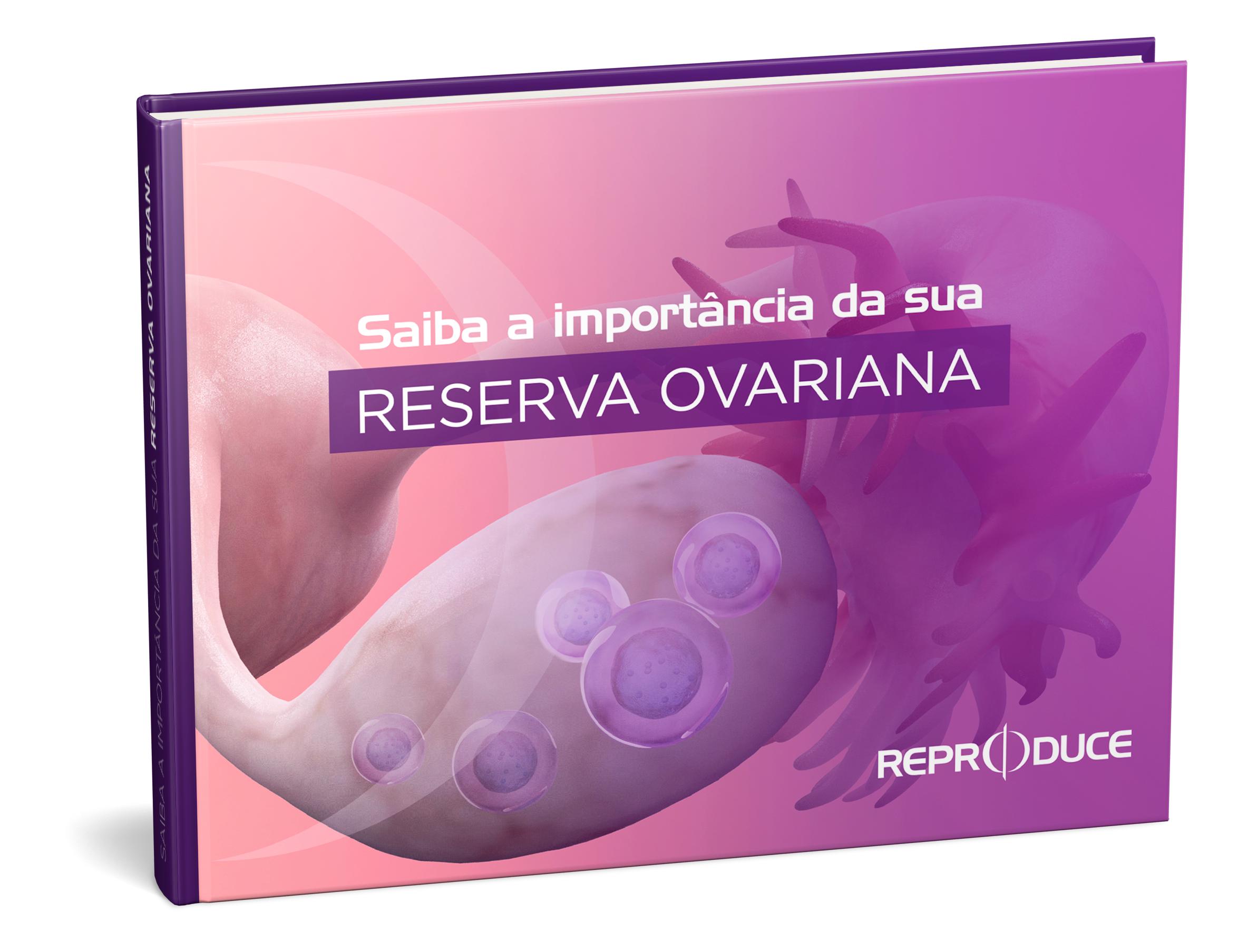 Saiba a importância da sua reserva ovariana - Clínica Reproduce
